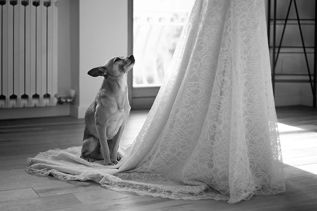 COME SCEGLIERE IL FOTOGRAFO DI MATRIMONIO A BRESCIA